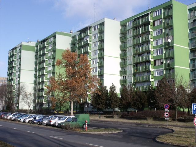 ddoc_gallery_big_1553090610