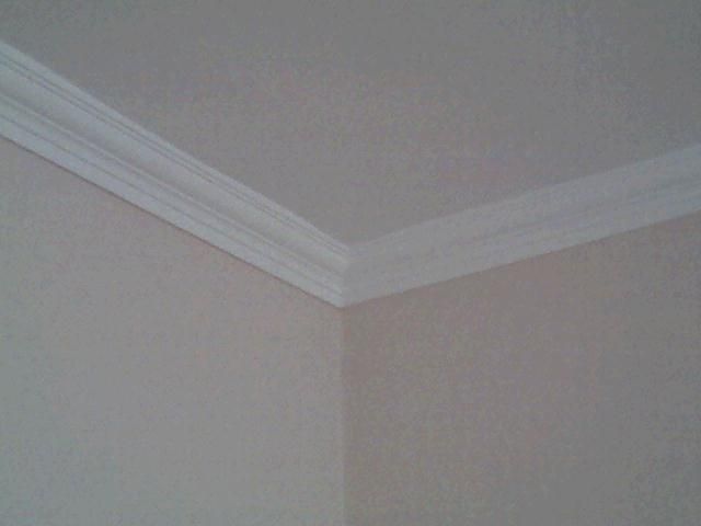 ddoc_gallery_big_1553091224