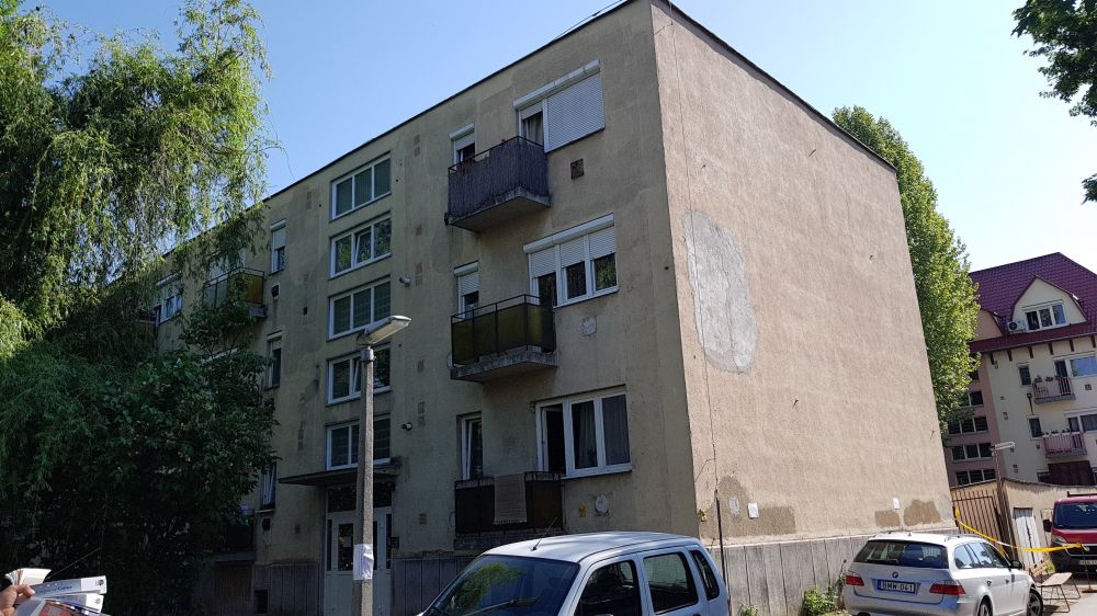 ddoc_gallery_big_1553091369