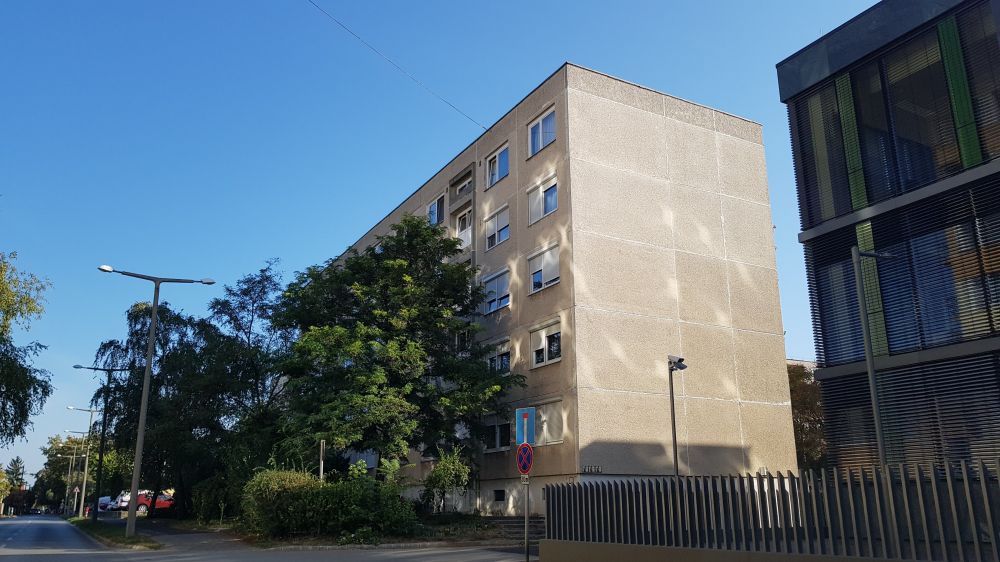 ddoc_gallery_big_1553091387