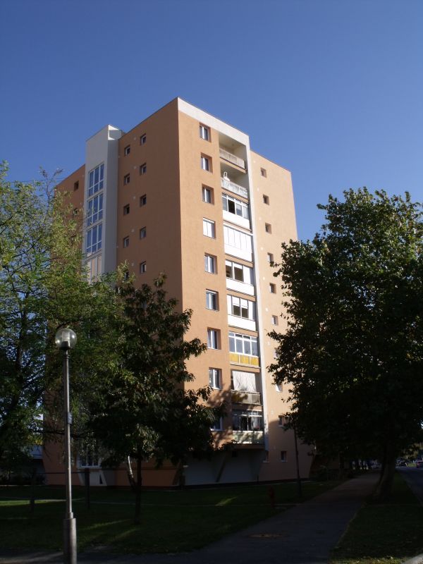 ddoc_gallery_big_1553091567