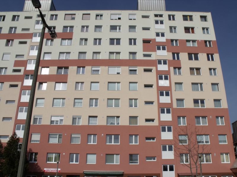 ddoc_gallery_big_1553091586